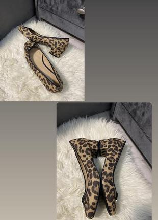 Трендові туфлі леопардового принту/