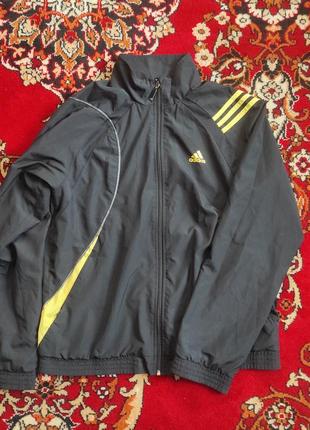 Балоновая олимпийка adidas