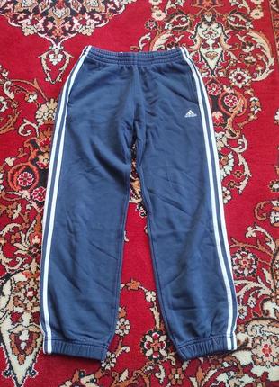 Штани adidas