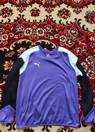 Олимпийский puma