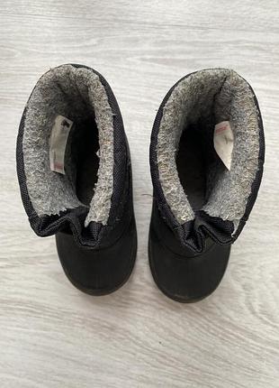 Зимові ботаніки