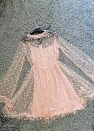 Плаття плаття сукня1 фото