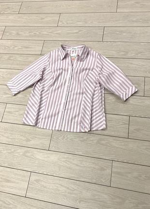Новая женская рубашка в полоску с коротким рукавом от xlnt на лето ( 2хл )2 фото