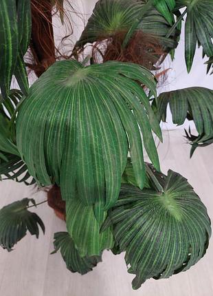 Новая декоративная пальма с обезьяной-копилкой