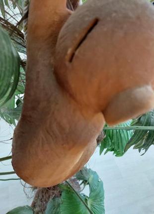 Новая декоративная пальма с обезьяной-копилкой