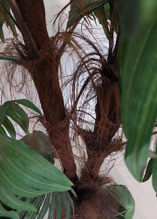 Новая декоративная пальма с обезьяной-копилкой