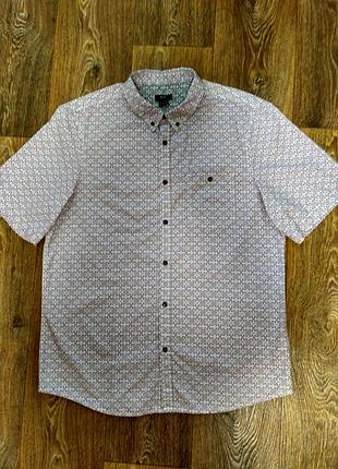 Відмінна чоловіча сорочка в принт
