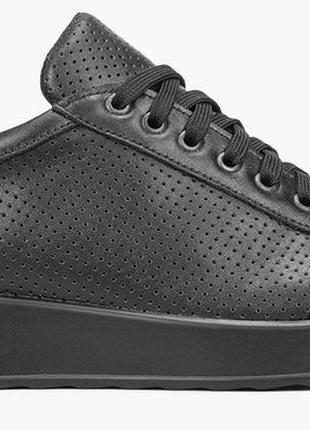 Кроссовки низкие женские летние чёрные натуральная кожа украина  vm villomi - размер 36 (23,5 см)  (модель: