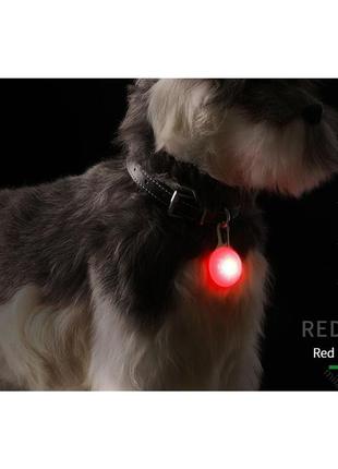 Светодиодный яркий ошейник led фонарик, ошейник для собак и кошек2 фото