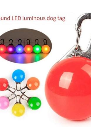 Светодиодный яркий ошейник led фонарик, ошейник для собак и кошек1 фото