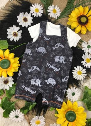 Серый песочник на 0-1 мес