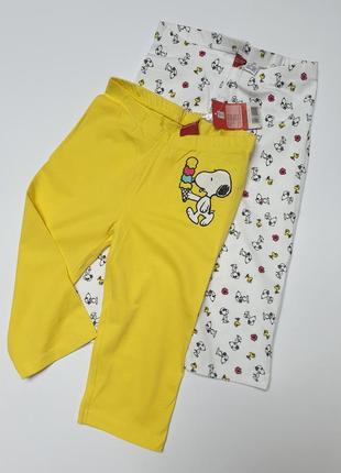 Набор хлопковых бриджей, шортов, лосинок фирмы peanuts