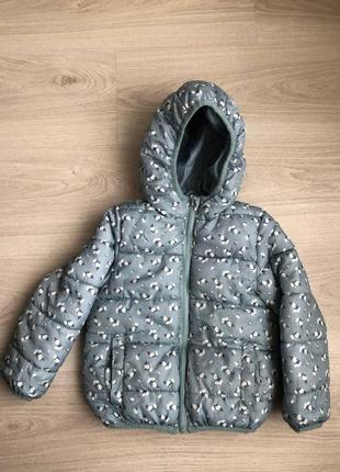 Куртка вітровка