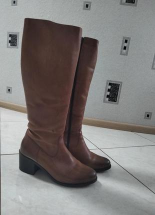 Жіночі ботфорди