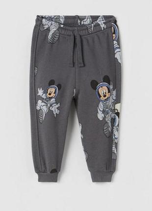 Джоггеры zara