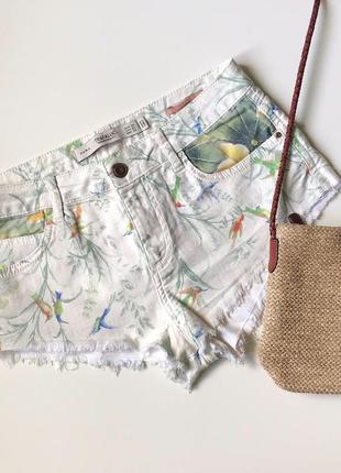 Шорти шортики zara xs