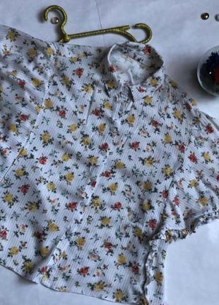 Сорочка жіноча короткий рукав