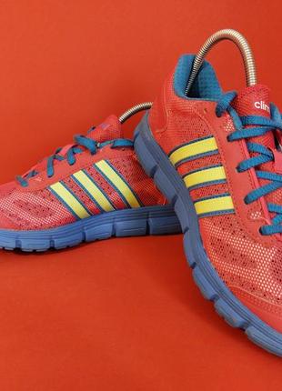 Adidas climacool ortholite 38р. 24 см3 фото