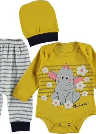 Комплект дитячого одягу (шапочка + боді + штани) 68, 74 розмір на дівчинку 3-6, 6-9 місяців