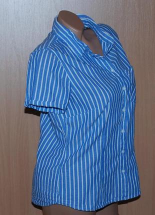 Женская рубашка 100%хлопок 
бренда h&m / приталена/2 фото