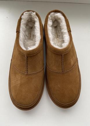 Тапочки kooraburra by ugg