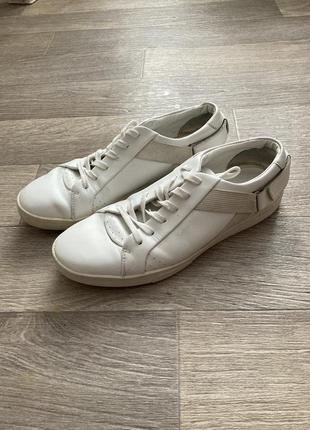 Кеды calvin klein