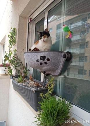 Гамак лежанка для кота на окно с присосками, серая2 фото