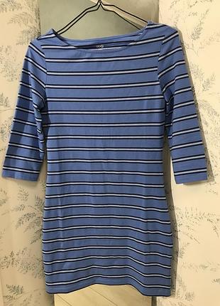 Волошкова сукня жіноча у смужку s