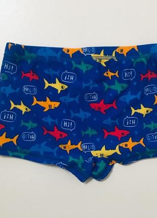 Яркие плавуи