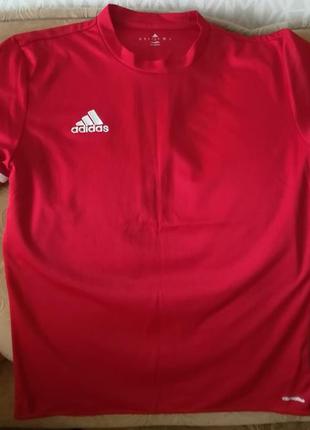 Adidas entrada 14 jsy online
