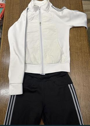 Спортивный костюм adidas1 фото