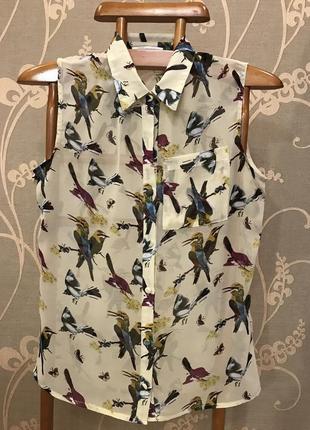 Очень красивая и стильная брендовая блузка в птичках и бабочках.1 фото