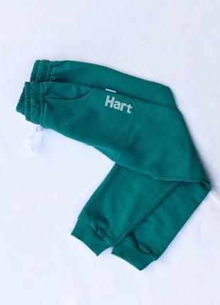 Спортивні штани для хлопчиків 6, 7, 8, 9 років спортивного бренду hart