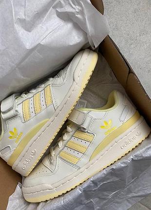 Женские кроссовки adidas ninos body top multco money card
