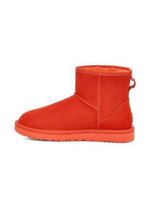 Женские ботинки ugg с мехом5 фото