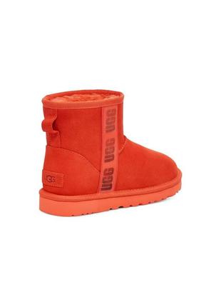 Женские ботинки ugg с мехом7 фото