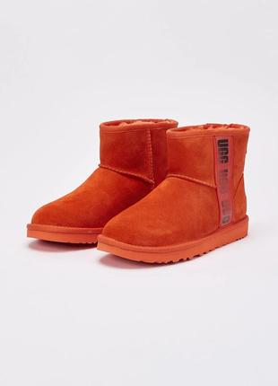 Женские ботинки ugg с мехом1 фото