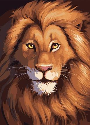 Картина по номерам лев посмішка лева 40х50 см (dy198) melmil