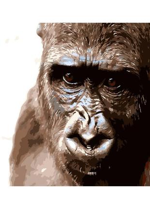 Картина по номерам кинг-конг обезьяна 40х50 см (dy085) melmil