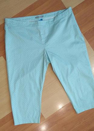 Брючки marks& spencer, размер 20