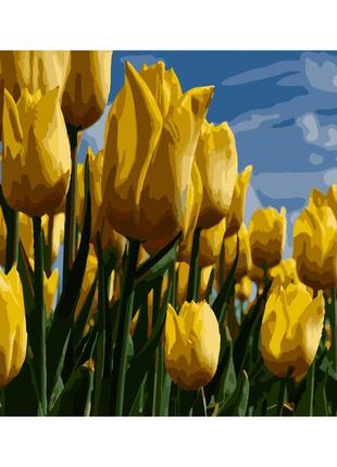 Картина за номерами поле жовтих тюльпанів розміром 40х50 см (gs260) melmil