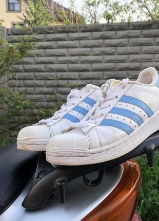 Кроссівки adidas superstar