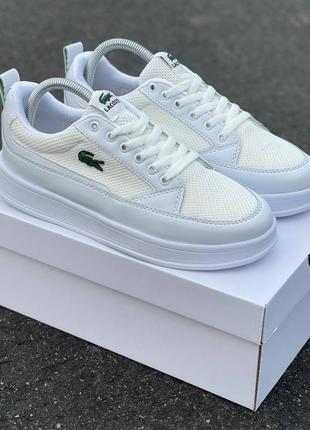 Мужские кроссовки lacoste