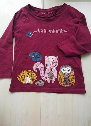 Реглан для дівчинки/акція!!! 1+1=3 (найдешевша річ йде в подарунок)