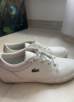 Мужские белые кеды lacoste