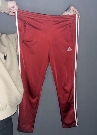 Спортивные штаны adidas