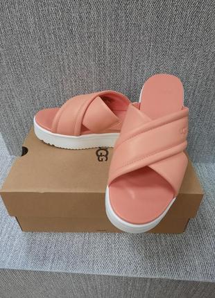 Шльопанці ugg3 фото