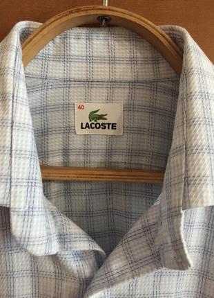 Классная мужская рубашка "lacoste "2 фото