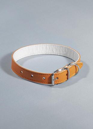 Ошейник для собак кожаный (двойной) "барвы" ширина 20 мм, длина 33-41 см, оранжевый