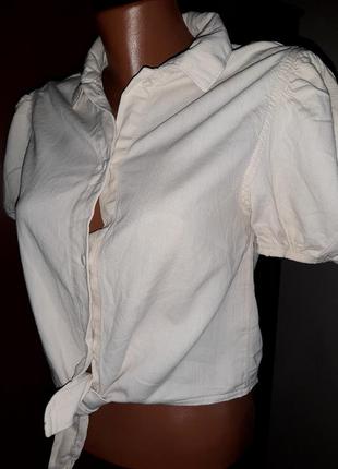 Zara блуза 1523 фото